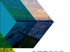2020中國(guó)碳中和綜合報(bào)告