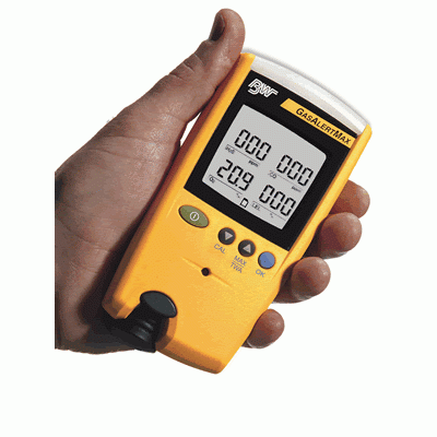 BW GasAlertMax帶有內部采樣泵的四